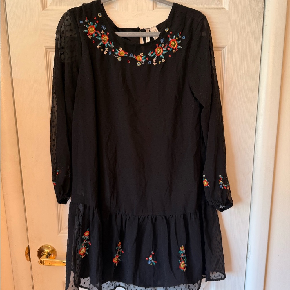 Japna Black Dress with Vibrant Floral Embroidery